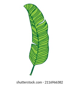 Simple hand drawn doodles. tropical leaves silhouette vector. Hand drawn silhouette palm leaf icon on white background. Cartoon sketch element: greenery Arecaceae, Palmae Palm Leave