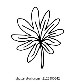 Simple hand drawn doodles. tropical leaves silhouette vector. Hand drawn silhouette palm leaf icon on white background. Cartoon sketch element: greenery Arecaceae, Palmae Palm Leave