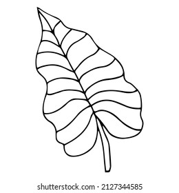 Simple hand drawn doodles. tropical leaves silhouette vector. Hand drawn silhouette palm leaf icon on white background. Cartoon sketch element: greenery Arecaceae, Palmae Palm Leave