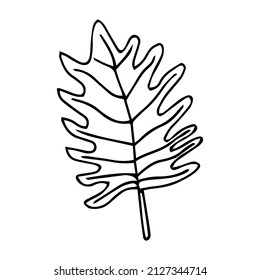Simple hand drawn doodles. tropical leaves silhouette vector. Hand drawn silhouette palm leaf icon on white background. Cartoon sketch element: greenery Arecaceae, Palmae Palm Leave