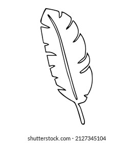Simple hand drawn doodles. tropical leaves silhouette vector. Hand drawn silhouette palm leaf icon on white background. Cartoon sketch element: greenery Arecaceae, Palmae Palm Leave