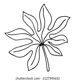 Doodles dibujados a mano. vector de silueta de hojas tropicales. Icono dibujado a mano de la hoja de silueta de palma sobre fondo blanco. Esbozo de dibujos animados: verde Arecaceae, Palmae Palm Leave
