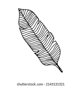Simple hand drawn doodles. tropical leaves silhouette vector. Hand drawn silhouette palm leaf icon on white background. Cartoon sketch element: greenery Arecaceae, Palmae Palm Leave