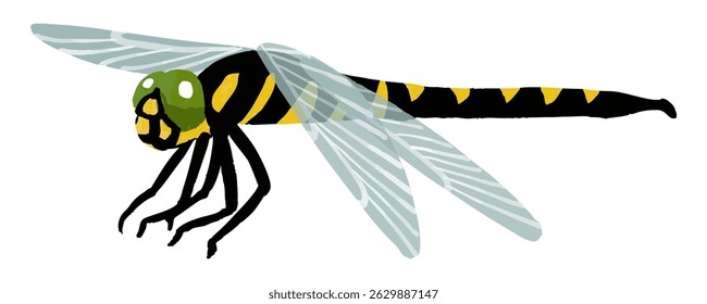 Simples mão desenhada libélula ilustração vetor