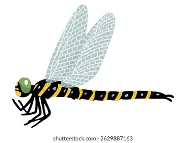 Simples mão desenhada libélula ilustração vetor