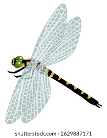 Simples mão desenhada libélula ilustração vetor