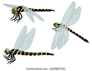 Simple hand drawn dragonfly vector illustration