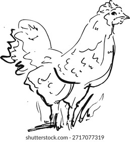 Simple Hand Drawn Farm Hen Bird Outline Sketch