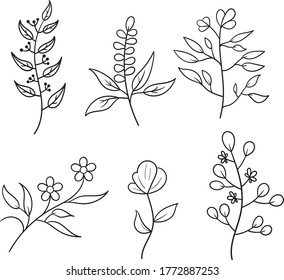 Simple Hand Drawn Floral Doodle with White Background