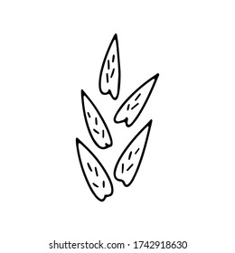 Simple elemento floral dibujado a mano aislado en fondo blanco. Estilo Doodle. Ilustración vectorial de plantas.