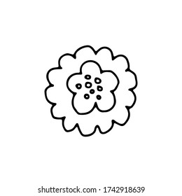 Simple elemento floral dibujado a mano aislado en fondo blanco. Estilo Doodle. Ilustración vectorial de plantas.