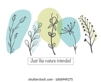 Simple hand drawn floral elements for greeting cards, logo and wedding design. Doodle vector herbal elements. Cute spring illustration set