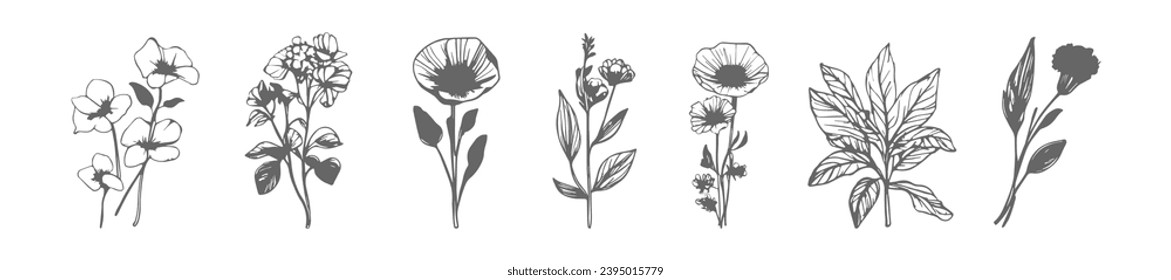 Einfache, handgezeichnete Blumengestelle im Art-Style. botanische, Äste, Blätter, Pflanzen, Kräutergrafik