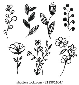 Simple Hand drawn floral leaves. vector illustration