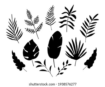 Simple hand drawn floral vector black and white drawing. Set of tropical plants, silhouette of palm leaves, branch, twig. Elements for creating a pattern, decor. Exotic nature, jungle, forest.