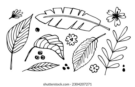 Simple hand drawn floral vector drawing in black outline. Set of tropical plants, palm leaves, flowers and branches. Elements for creating a pattern. Exotic nature, jungle, forest. Sketch in ink.