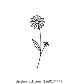 Simple hand drawn flower illustration. Line art botanical vector. Doodle flower in white background. 