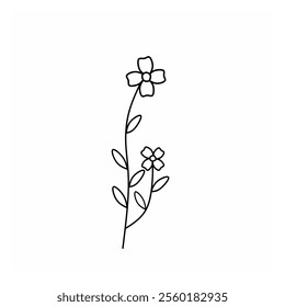Simple hand drawn flower illustration. Line art botanical vector. Doodle flower in white background. 