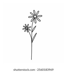 Simple hand drawn flower illustration. Line art botanical vector. Doodle flower in white background. 