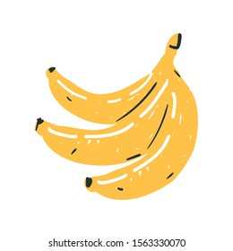 Simple hand drawn fruit icon, doodle vector illustration of ripe bananas isolated on white.