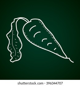 Simple hand drawn illustration of a carrot