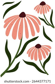 Simple hand drawn illustration of echinacea flowers with elongated pink petals and dark centers. Perfect for prints, posters, and natural-themed designs.