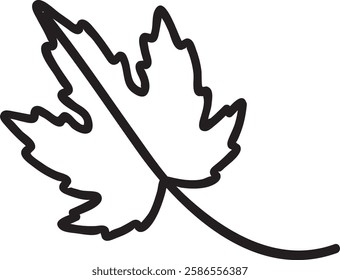 Simple, hand drawn illustration of a maple leaf, a national symbol of Canada, rendered in black outline against a white background, evoking nature, autumn, and national identity