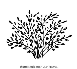 Simple hand drawn ink vector sketch. Lush bush isolated on white background. Vegetation, nature, element of summer landscape. Black outline drawing.