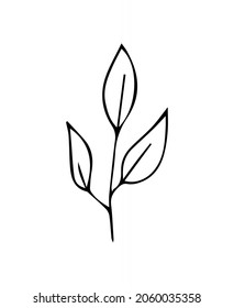 Simple hand drawn leaf doodle silhouette vector for coloring book. Black thick stroke. vector illustration isolated on white background.