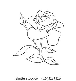 simple hand drawn line art rose flower vector illustration suitable for decoration and logo template