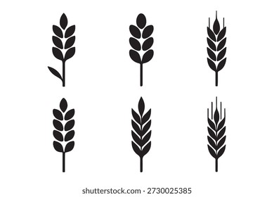 Simple hand drawn line art of a wheat stalk on a white background