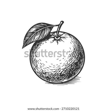 Simple hand drawn orange fruit icon, engraved illustration.