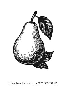 Einfaches handgezeichnetes Birnenfrucht-Symbol, eingravierte Illustration.