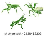 Simple hand drawn praying mantis vector illustration