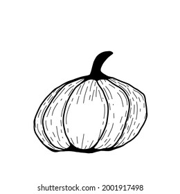 Simple hand drawn pumpkin.Doodle vector illustration for logo, greeting card, seasonal autumn design. Helloween pumpkin design.