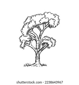 Simple hand drawn rough pen sketch big tree vector illustration design concept doodle eps 10. Tree isolated on white background.