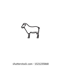 simple hand drawn sheep cartoon design