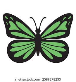 Simple hand drawn single green butterfly vector illustration isolated on white background