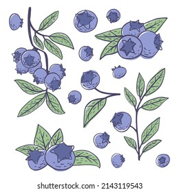 Einfache, handgezeichnete Skizze mit hellen exotischen Heidelbeeren einzeln auf weißem Hintergrund. Vektorgrafik EPS10