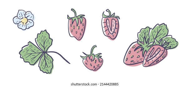 Esbozo simple dibujado a mano de fresas maduras brillantes aisladas en fondo blanco. Ilustración del vector EPS10