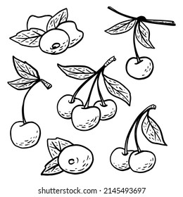Sencillo boceto dibujado a mano de cerezas maduras brillantes aisladas en fondo blanco. Ilustración del vector EPS10