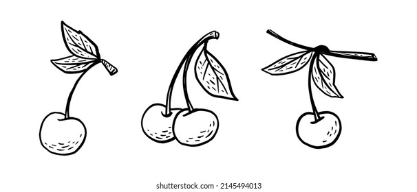 Simple hand drawn sketch of bright ripe cherries isolated on white background. Vector illustration EPS10