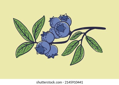 Simple hand drawn sketch of bright exotic blueberries on yellow background. Vector illustration EPS10