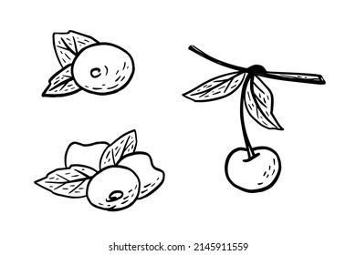 Simple hand drawn sketch of bright ripe cherries isolated on white background. Vector illustration EPS10