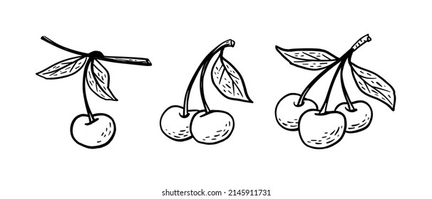Sencillo boceto dibujado a mano de cerezas maduras brillantes aisladas en fondo blanco. Ilustración del vector EPS10