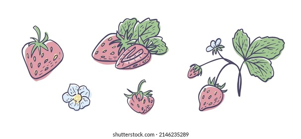 Simple hand drawn sketch of bright ripe strawberries isolated on white background. Vector illustration EPS10