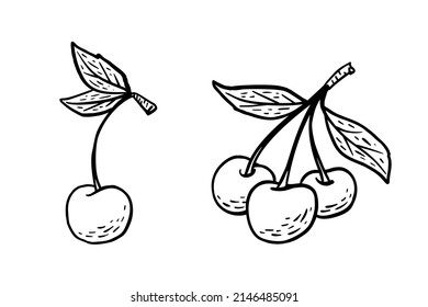 Sencillo boceto dibujado a mano de cerezas maduras brillantes aisladas en fondo blanco. Ilustración del vector EPS10