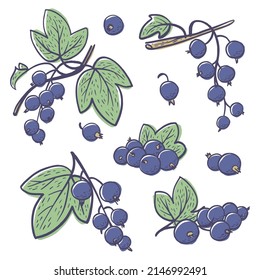 Esbozo simple dibujado a mano de fresas maduras brillantes aisladas en fondo blanco. Ilustración del vector EPS10
