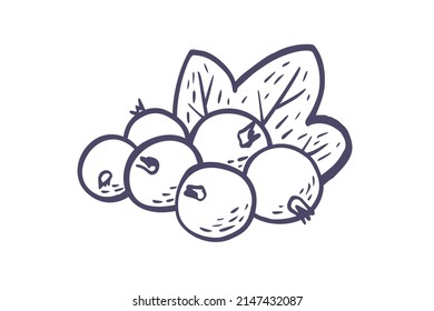 Einfache, handgezeichnete Skizze aus hellreifen Erdbeeren einzeln auf weißem Hintergrund. Vektorgrafik EPS10