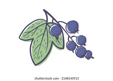 Esbozo simple dibujado a mano de fresas maduras brillantes aisladas en fondo blanco. Ilustración del vector EPS10